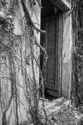 ISOLA DI POVEGLIA 15 04 2014 ARCHEOLOGIA INDUSTRIALE - OSPEDALE AL MARE