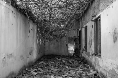 ISOLA DI POVEGLIA 15 04 2014 ARCHEOLOGIA INDUSTRIALE - OSPEDALE AL MARE