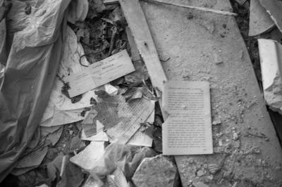 ISOLA DI POVEGLIA 15 04 2014 ARCHEOLOGIA INDUSTRIALE - OSPEDALE AL MARE