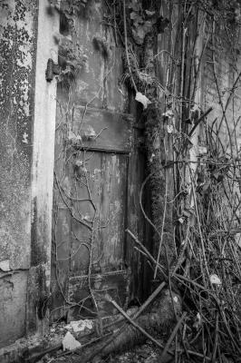 ISOLA DI POVEGLIA 15 04 2014 ARCHEOLOGIA INDUSTRIALE - OSPEDALE AL MARE