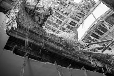 ISOLA DI POVEGLIA 15 04 2014 ARCHEOLOGIA INDUSTRIALE - OSPEDALE AL MARE