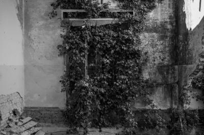 ISOLA DI POVEGLIA 15 04 2014 ARCHEOLOGIA INDUSTRIALE - OSPEDALE AL MARE