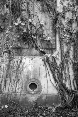 ISOLA DI POVEGLIA 15 04 2014 ARCHEOLOGIA INDUSTRIALE - OSPEDALE AL MARE