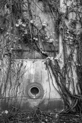 ISOLA DI POVEGLIA 15 04 2014 ARCHEOLOGIA INDUSTRIALE - OSPEDALE AL MARE