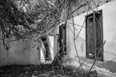 ISOLA DI POVEGLIA 15 04 2014 ARCHEOLOGIA INDUSTRIALE - OSPEDALE AL MARE