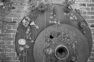 ISOLA DI POVEGLIA 15 04 2014 ARCHEOLOGIA INDUSTRIALE - OSPEDALE AL MARE