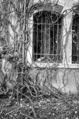 ISOLA DI POVEGLIA 15 04 2014 ARCHEOLOGIA INDUSTRIALE - OSPEDALE AL MARE