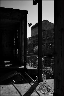 CAMPONOGARA 23 11 2014 ARCHEOLOGIA INDUSTRIALE - PRIMA SCELTA LIBRO L UOMO CHE RACCOGLIEVA LE ALGHE