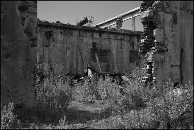 CAMPONOGARA 23 11 2014 ARCHEOLOGIA INDUSTRIALE - PRIMA SCELTA LIBRO L UOMO CHE RACCOGLIEVA LE ALGHE