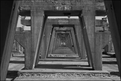 CAMPONOGARA 23 11 2014 ARCHEOLOGIA INDUSTRIALE - PRIMA SCELTA LIBRO L UOMO CHE RACCOGLIEVA LE ALGHE