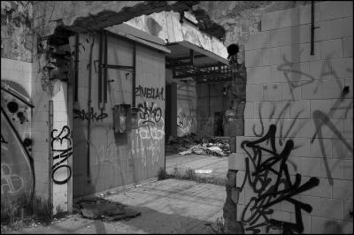CAMPONOGARA 23 11 2014 ARCHEOLOGIA INDUSTRIALE - PRIMA SCELTA LIBRO L UOMO CHE RACCOGLIEVA LE ALGHE