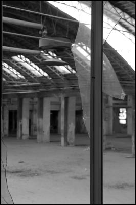 CAMPONOGARA 23 11 2014 ARCHEOLOGIA INDUSTRIALE - PRIMA SCELTA LIBRO L UOMO CHE RACCOGLIEVA LE ALGHE
