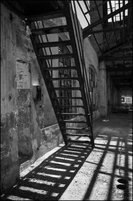 CAMPONOGARA 23 11 2014 ARCHEOLOGIA INDUSTRIALE - PRIMA SCELTA LIBRO L UOMO CHE RACCOGLIEVA LE ALGHE