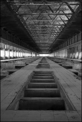 CAMPONOGARA 23 11 2014 ARCHEOLOGIA INDUSTRIALE - PRIMA SCELTA LIBRO L UOMO CHE RACCOGLIEVA LE ALGHE