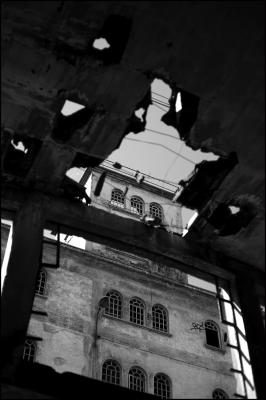 CAMPONOGARA 23 11 2014 ARCHEOLOGIA INDUSTRIALE - PRIMA SCELTA LIBRO L UOMO CHE RACCOGLIEVA LE ALGHE
