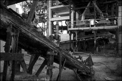 CAMPONOGARA 23 11 2014 ARCHEOLOGIA INDUSTRIALE - PRIMA SCELTA LIBRO L UOMO CHE RACCOGLIEVA LE ALGHE