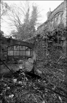 CAMPONOGARA 23 11 2014 ARCHEOLOGIA INDUSTRIALE - PRIMA SCELTA LIBRO L UOMO CHE RACCOGLIEVA LE ALGHE