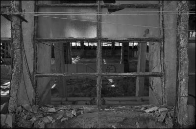 CAMPONOGARA 23 11 2014 ARCHEOLOGIA INDUSTRIALE - PRIMA SCELTA LIBRO L UOMO CHE RACCOGLIEVA LE ALGHE