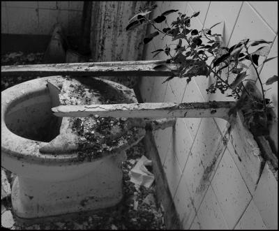 CAMPONOGARA 23 11 2014 ARCHEOLOGIA INDUSTRIALE - PRIMA SCELTA LIBRO L UOMO CHE RACCOGLIEVA LE ALGHE