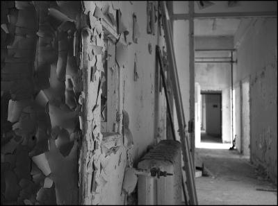 CAMPONOGARA 23 11 2014 ARCHEOLOGIA INDUSTRIALE - PRIMA SCELTA LIBRO L UOMO CHE RACCOGLIEVA LE ALGHE