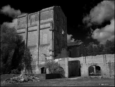 CAMPONOGARA 23 11 2014 ARCHEOLOGIA INDUSTRIALE - PRIMA SCELTA LIBRO L UOMO CHE RACCOGLIEVA LE ALGHE