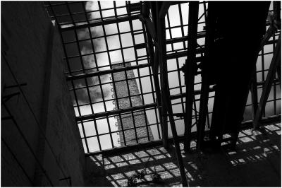 CAMPONOGARA 23 11 2014 ARCHEOLOGIA INDUSTRIALE - PRIMA SCELTA LIBRO L UOMO CHE RACCOGLIEVA LE ALGHE