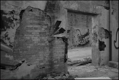 CAMPONOGARA 23 11 2014 ARCHEOLOGIA INDUSTRIALE - PRIMA SCELTA LIBRO L UOMO CHE RACCOGLIEVA LE ALGHE