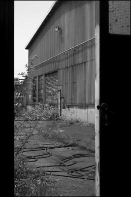 CAMPONOGARA 23 11 2014 ARCHEOLOGIA INDUSTRIALE - PRIMA SCELTA LIBRO L UOMO CHE RACCOGLIEVA LE ALGHE