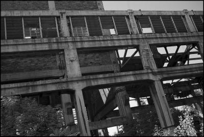 CAMPONOGARA 23 11 2014 ARCHEOLOGIA INDUSTRIALE - PRIMA SCELTA LIBRO L UOMO CHE RACCOGLIEVA LE ALGHE