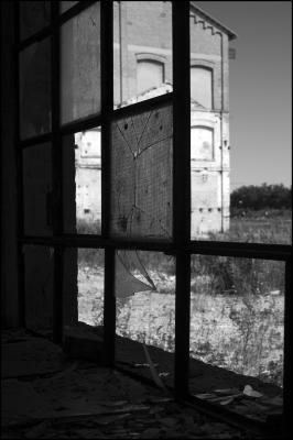 CAMPONOGARA 23 11 2014 ARCHEOLOGIA INDUSTRIALE - PRIMA SCELTA LIBRO L UOMO CHE RACCOGLIEVA LE ALGHE
