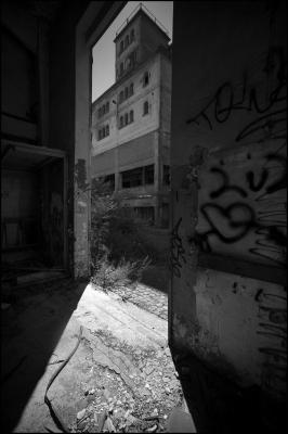 CAMPONOGARA 23 11 2014 ARCHEOLOGIA INDUSTRIALE - PRIMA SCELTA LIBRO L UOMO CHE RACCOGLIEVA LE ALGHE