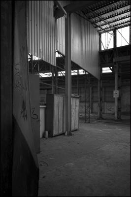 CAMPONOGARA 23 11 2014 ARCHEOLOGIA INDUSTRIALE - PRIMA SCELTA LIBRO L UOMO CHE RACCOGLIEVA LE ALGHE