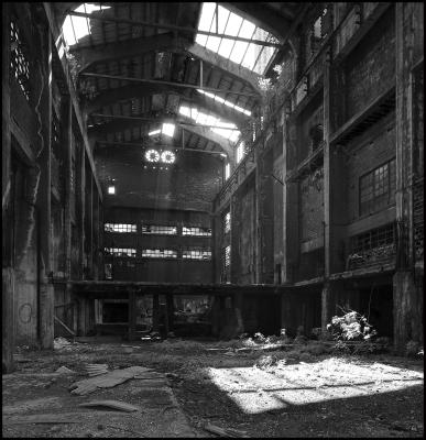 CAMPONOGARA 23 11 2014 ARCHEOLOGIA INDUSTRIALE - PRIMA SCELTA LIBRO L UOMO CHE RACCOGLIEVA LE ALGHE