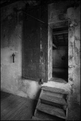 CAMPONOGARA 23 11 2014 ARCHEOLOGIA INDUSTRIALE - PRIMA SCELTA LIBRO L UOMO CHE RACCOGLIEVA LE ALGHE