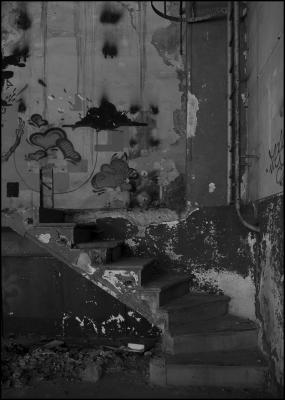CAMPONOGARA 23 11 2014 ARCHEOLOGIA INDUSTRIALE - PRIMA SCELTA LIBRO L UOMO CHE RACCOGLIEVA LE ALGHE