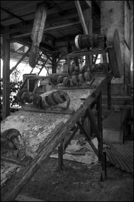 CAMPONOGARA 23 11 2014 ARCHEOLOGIA INDUSTRIALE - PRIMA SCELTA LIBRO L UOMO CHE RACCOGLIEVA LE ALGHE