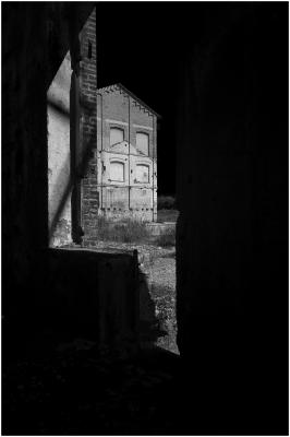 CAMPONOGARA 23 11 2014 ARCHEOLOGIA INDUSTRIALE - PRIMA SCELTA LIBRO L UOMO CHE RACCOGLIEVA LE ALGHE