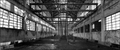 CAMPONOGARA 23 11 2014 ARCHEOLOGIA INDUSTRIALE - PRIMA SCELTA LIBRO L UOMO CHE RACCOGLIEVA LE ALGHE