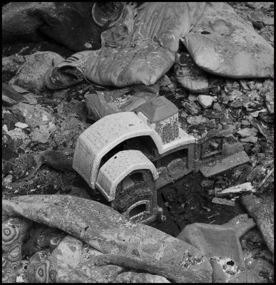 CAMPONOGARA 23 11 2014 ARCHEOLOGIA INDUSTRIALE - PRIMA SCELTA LIBRO L UOMO CHE RACCOGLIEVA LE ALGHE