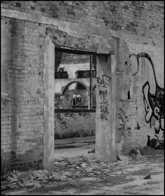CAMPONOGARA 23 11 2014 ARCHEOLOGIA INDUSTRIALE - PRIMA SCELTA LIBRO L UOMO CHE RACCOGLIEVA LE ALGHE