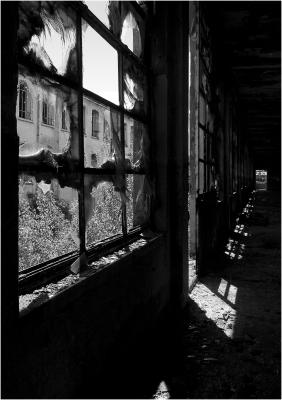 CAMPONOGARA 23 11 2014 ARCHEOLOGIA INDUSTRIALE - PRIMA SCELTA LIBRO L UOMO CHE RACCOGLIEVA LE ALGHE