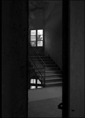 CAMPONOGARA 23 11 2014 ARCHEOLOGIA INDUSTRIALE - PRIMA SCELTA LIBRO L UOMO CHE RACCOGLIEVA LE ALGHE