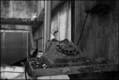 CAMPONOGARA 23 11 2014 ARCHEOLOGIA INDUSTRIALE - PRIMA SCELTA LIBRO L UOMO CHE RACCOGLIEVA LE ALGHE