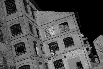 CAMPONOGARA 23 11 2014 ARCHEOLOGIA INDUSTRIALE - PRIMA SCELTA LIBRO L UOMO CHE RACCOGLIEVA LE ALGHE