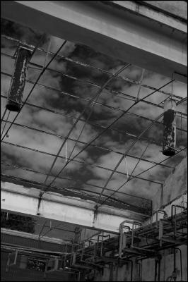 CAMPONOGARA 23 11 2014 ARCHEOLOGIA INDUSTRIALE - PRIMA SCELTA LIBRO L UOMO CHE RACCOGLIEVA LE ALGHE