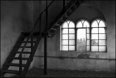 CAMPONOGARA 23 11 2014 ARCHEOLOGIA INDUSTRIALE - PRIMA SCELTA LIBRO L UOMO CHE RACCOGLIEVA LE ALGHE