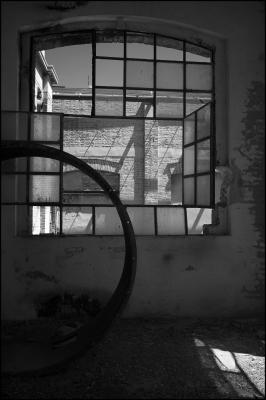 CAMPONOGARA 23 11 2014 ARCHEOLOGIA INDUSTRIALE - PRIMA SCELTA LIBRO L UOMO CHE RACCOGLIEVA LE ALGHE