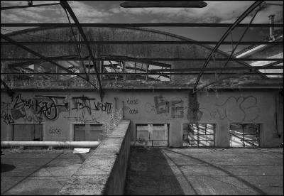 CAMPONOGARA 23 11 2014 ARCHEOLOGIA INDUSTRIALE - PRIMA SCELTA LIBRO L UOMO CHE RACCOGLIEVA LE ALGHE
