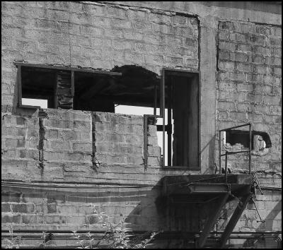 CAMPONOGARA 23 11 2014 ARCHEOLOGIA INDUSTRIALE - PRIMA SCELTA LIBRO L UOMO CHE RACCOGLIEVA LE ALGHE