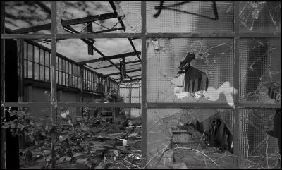 CAMPONOGARA 23 11 2014 ARCHEOLOGIA INDUSTRIALE - PRIMA SCELTA LIBRO L UOMO CHE RACCOGLIEVA LE ALGHE